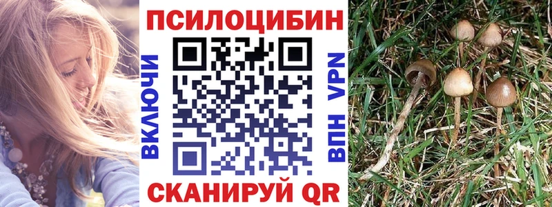 Галлюциногенные грибы прущие грибы  Чухлома 